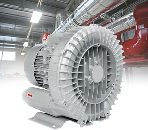 Single/Three Phase Vortex Ring Blower, 220V/380V Regenerative Vacuum Pump, Industrial Side Channel Blower, Electric Air Pump for Factory Ventilation & Dust Removal (250W/380V)