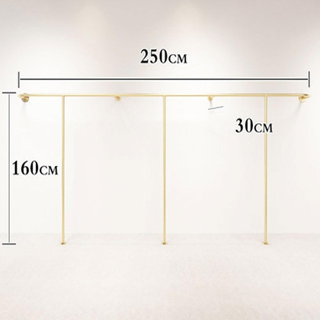 Wall Mounted Clothes Rail Modern Clothes Rack Retail Display Clothes Rack Freestanding Garment Rack Metal Coat Rack Garment Hanging Storage Rail, for Hanging Clothes (Size : 250cm)