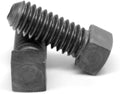 Square Head Set Screw, Cup Point, 5/16-18 x 3/4', Alloy Steel Case Hardened, Black Oxide, Full Thread (Quantity: 100) Coarse Thread, 5/16 inch Square Head Bolts, Length: 3/4 inch
