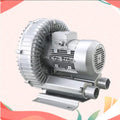 Regenerative Blower, Vortex Blower, 110V 50Hz Single Phase, High-Pressure Vortex Ring Blower, Industrial Vacuum Pump for Air Blowing(350W/0.47HP)