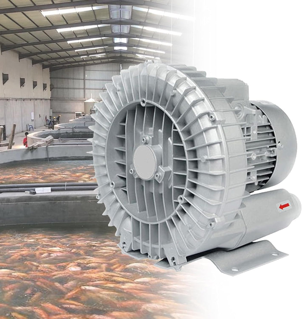 220V/380V Aeration Oxygenation Machine,for Fish Ponds Pool, Industrial Blower, Regenerative, with Dust Filter(1.5KW/220V)