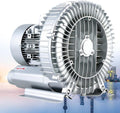 Regenerative Blower & Single/Three Phase Vortex Ring Blower - 220v/380v Industrial Vacuum for Aquaculture Hydroponics and Dust Collection 1.5KW/380V