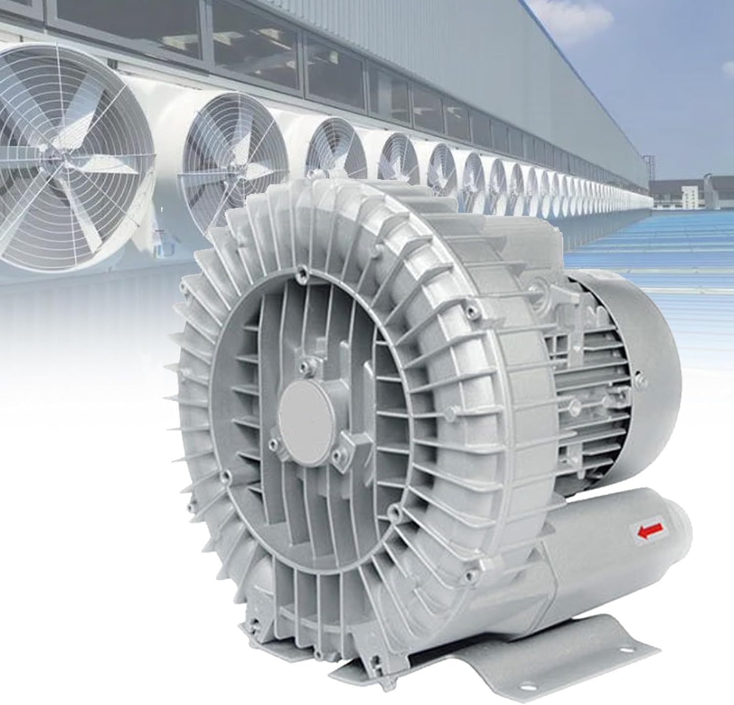 Regenerative Blower, 220V/380V Vortex, Industrial Vacuum Pump, Ring for Sewage Aera(370W/220V)